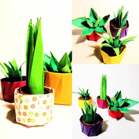 Sunday 21st Sept 1.30pm: Origami Cactus Plants with Ruth Keating - Tales for Tadpoles