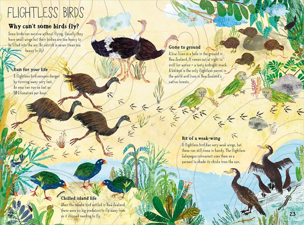 Yuval Zommer: The Big Book of Birds - Tales for Tadpoles