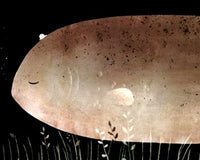 Jon Klassen: This Is Not My Hat (Hardback)