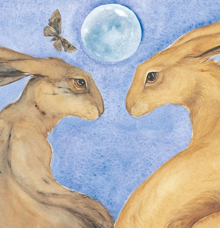 Jackie Morris: Song of the Golden Hare - Tales for Tadpoles