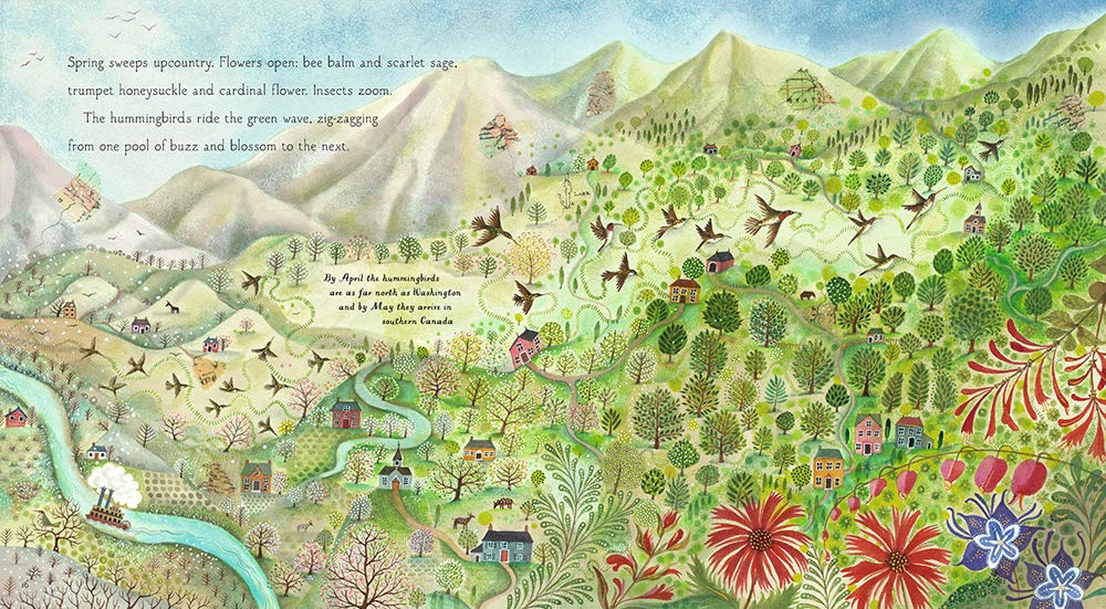 Nicola Davies: Hummingbird, illustrated by Jane Ray - Tales for Tadpoles