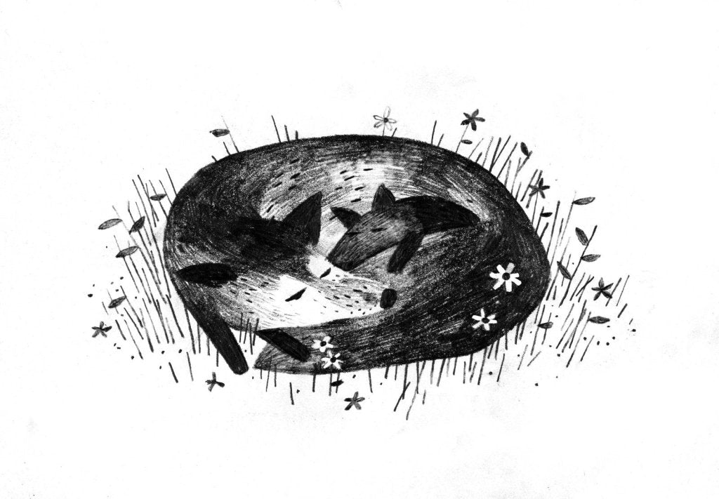 Sara Pennypacker: Pax, illustrated by Jon Klassen - Tales for Tadpoles