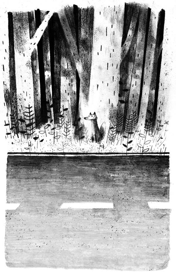 Sara Pennypacker: Pax, illustrated by Jon Klassen - Tales for Tadpoles