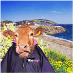 Greeting Card: Kelly Hood - Beef on the Beach at The Cove, Greystones (Square)