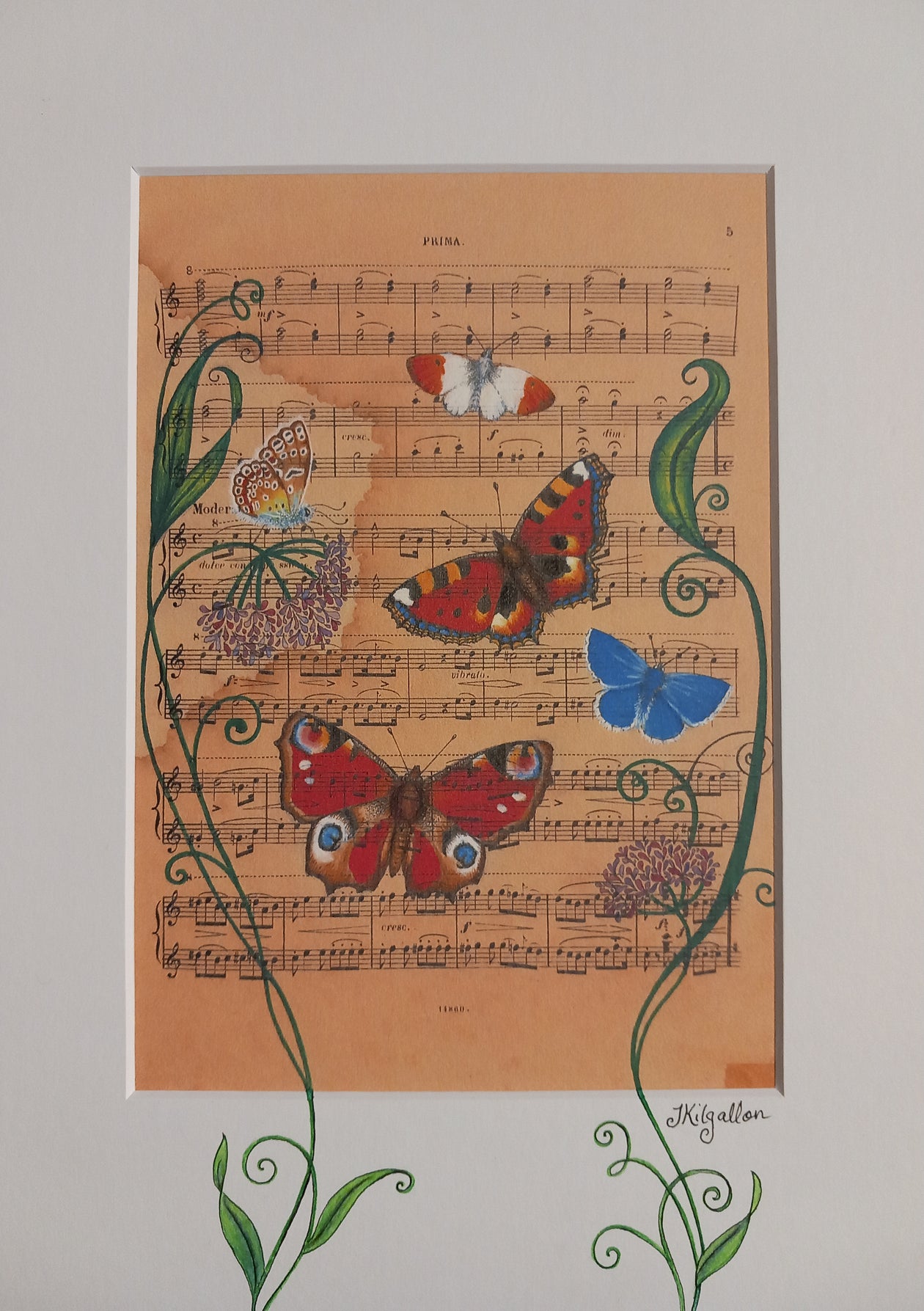 Print: Jenni Kilgallon - Butterflies and Music
