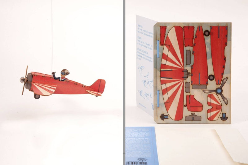 3D Greeting Card: Aeroplane - Tales for Tadpoles