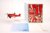 3D Greeting Card: Aeroplane - Tales for Tadpoles