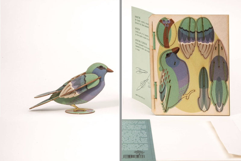 3D Greeting Card: Bird - Tales for Tadpoles