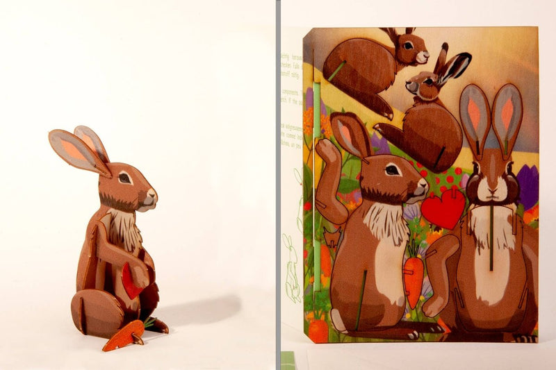 3D Greeting Card: Bunny - Tales for Tadpoles