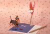 3D Greeting Card: Dachshund - Tales for Tadpoles