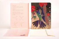 3D Greeting Card: Hummingbird - Tales for Tadpoles