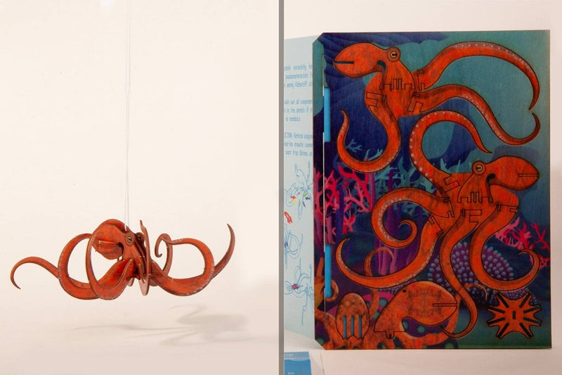 3D Greeting Card: Octopus - Tales for Tadpoles