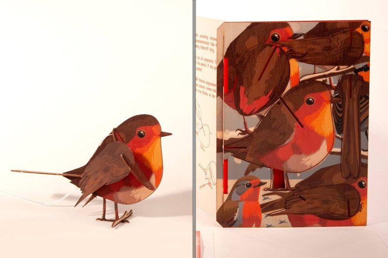 3D Greeting Card: Robin - Tales for Tadpoles