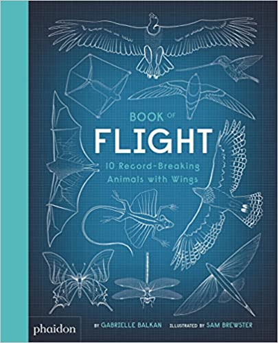 Book of Flight by Gabrielle Balkan, illustrated by Sam Brewster