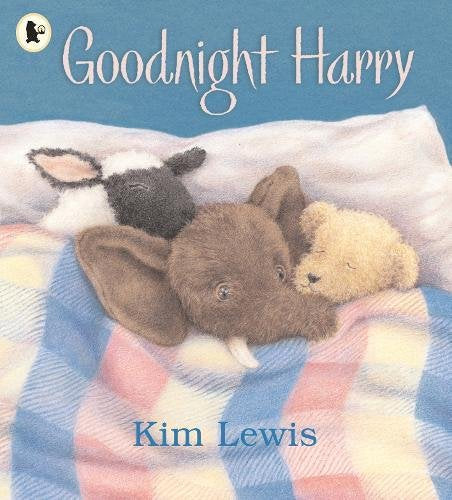 Kim Lewis: Goodnight Harry (Second Hand)
