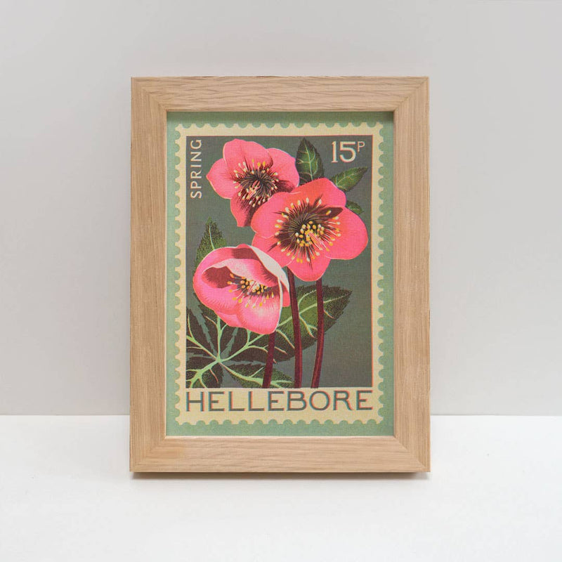 Print: Printer Johnson - Hellebore (A5)