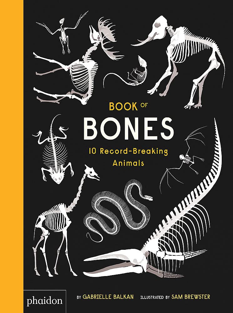 Gabrielle Balkan: The Book of Bones, illustrated by Sam Brewster