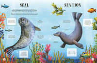 Lucy Thorn: Tell Us Apart - A Who's Who of Confusing Animals, illustrated by Lucy Rose