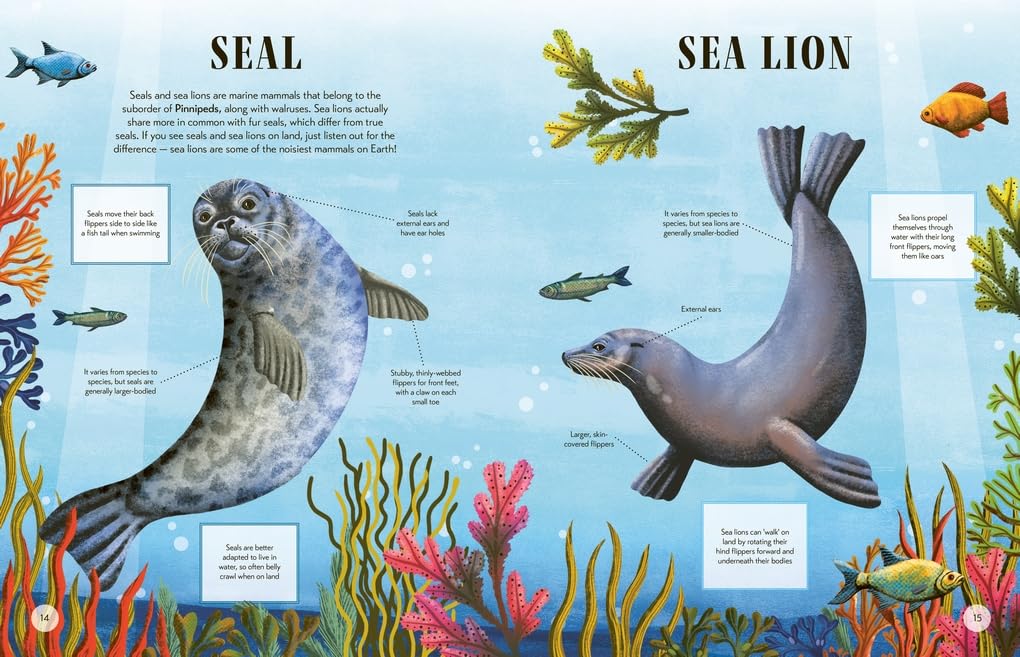 Lucy Thorn: Tell Us Apart - A Who's Who of Confusing Animals, illustrated by Lucy Rose