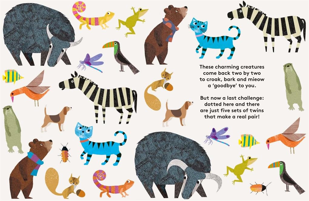Britta Teckentrup: Where's the Pair? A Spotting Book