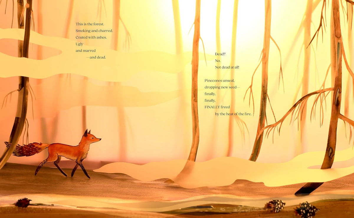 Louise M. Aamodt: A Forest Begins Anew, illustrated by Elly MacKay