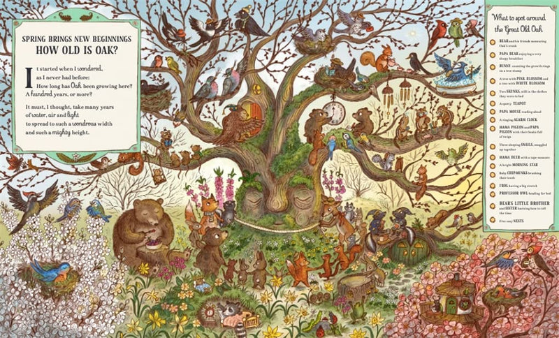 Rachel Piercey: Brown Bear Woods - Grand Old Oak and the Birthday Ball, illustrated by Freya Hartas