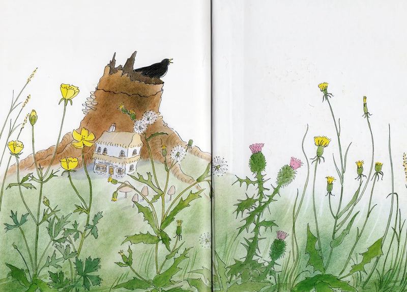 Bob Graham: April Underhill - Tooth Fairy