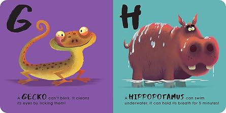 Nikolas Ilic: Animal ABC