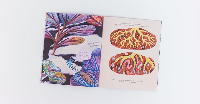 Lucy Brownridge: Little Tree and the Wood Wide Web, illustrated by Hannah Abbo