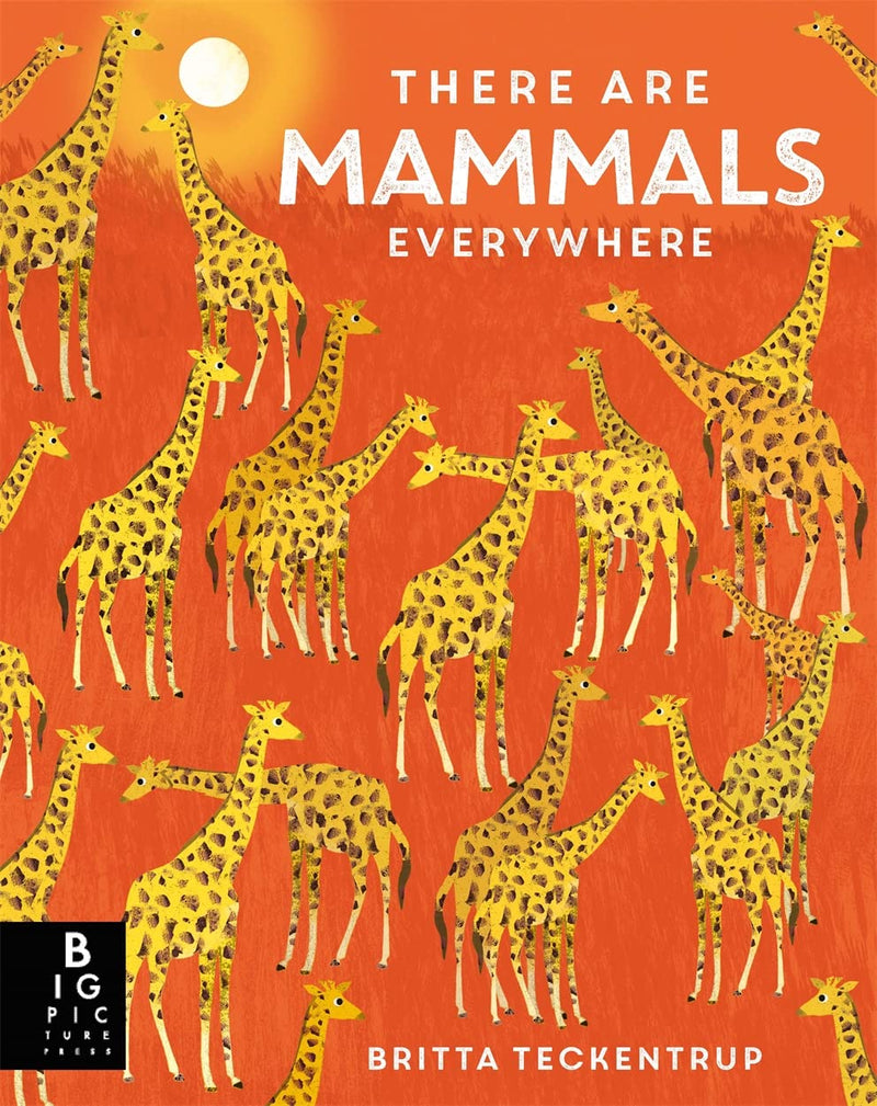 Camilla De La Bedoyere: There are Mammals Everywhere, illustrated by Britta Teckentrup