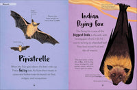 DK: The Bedtime Book of Nighttime Animals