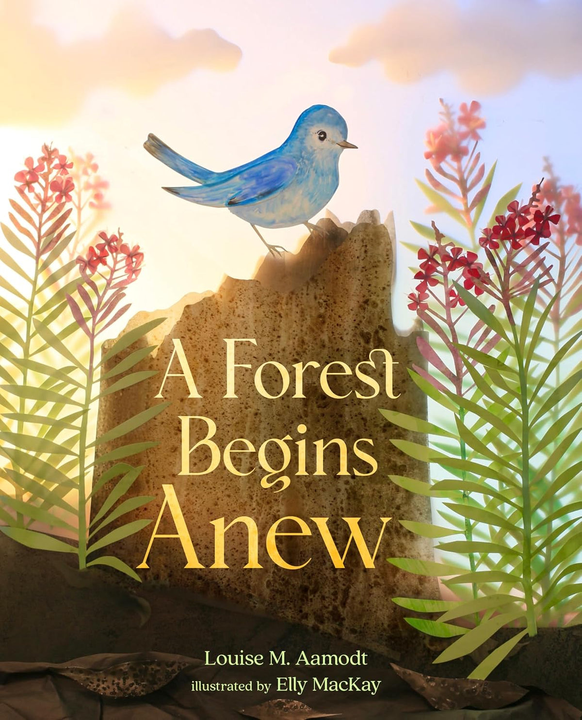 Louise M. Aamodt: A Forest Begins Anew, illustrated by Elly MacKay