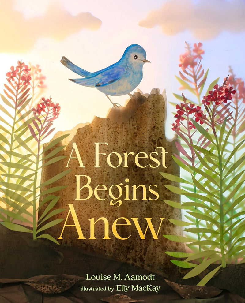 Louise M. Aamodt: A Forest Begins Anew, illustrated by Elly MacKay