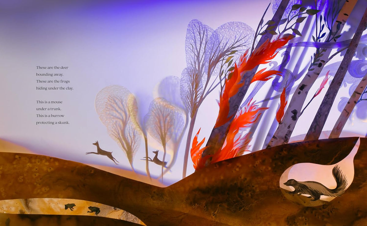 Louise M. Aamodt: A Forest Begins Anew, illustrated by Elly MacKay