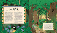 Kevin Parr: Woodlore, illustrated by Anja Susanj