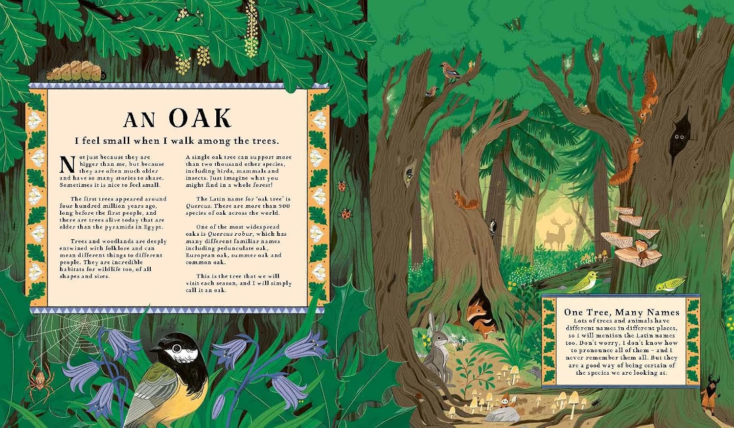 Kevin Parr: Woodlore, illustrated by Anja Susanj