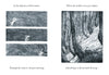 Robert Macfarlane: Firefly, illustrated by Luke Adam Hawker