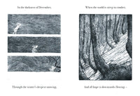 Robert Macfarlane: Firefly, illustrated by Luke Adam Hawker