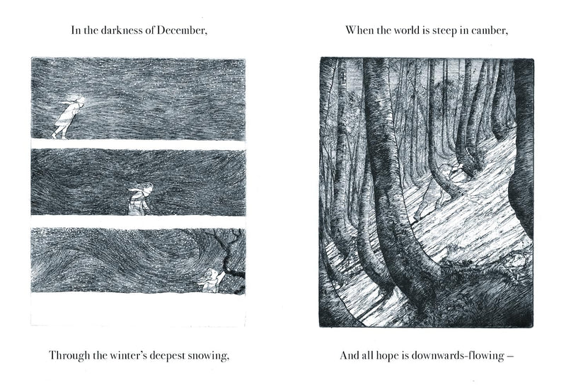 Robert Macfarlane: Firefly, illustrated by Luke Adam Hawker