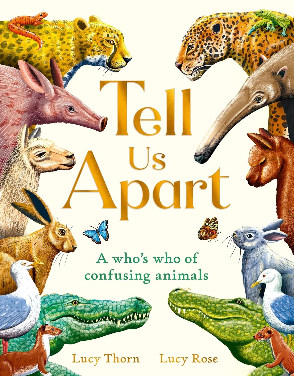 Lucy Thorn: Tell Us Apart - A Who's Who of Confusing Animals, illustrated by Lucy Rose