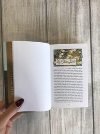 J.L.C. and W.C Grimm: Grimm's Fairy Tales