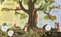 Helen Brown: Nature Explained, illustrated by Claire Scully