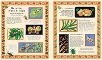 Kevin Parr: Woodlore, illustrated by Anja Susanj