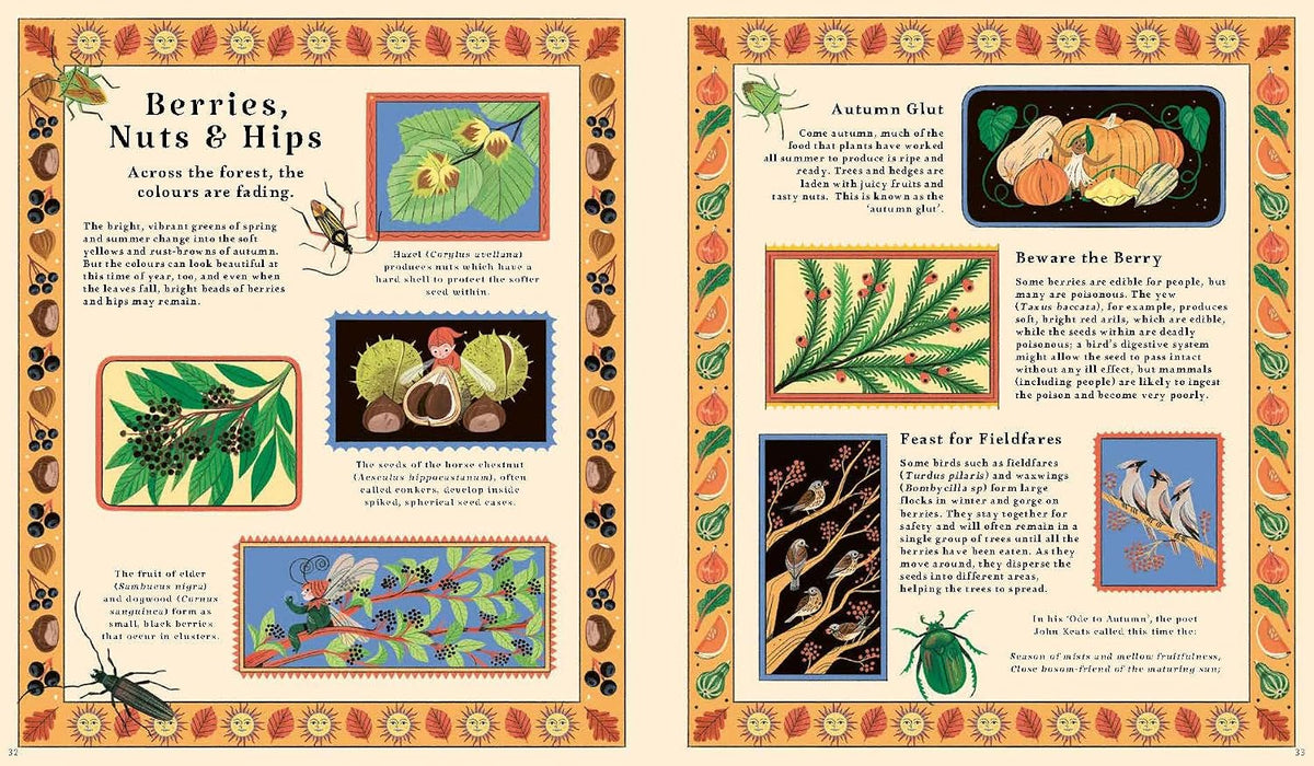 Kevin Parr: Woodlore, illustrated by Anja Susanj