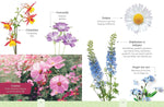 Craft Kit: Beautiful Botanicals - Pressed Flower Crafts