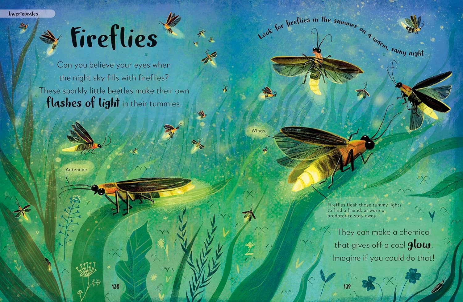 DK: The Bedtime Book of Nighttime Animals
