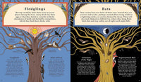 Kevin Parr: Woodlore, illustrated by Anja Susanj