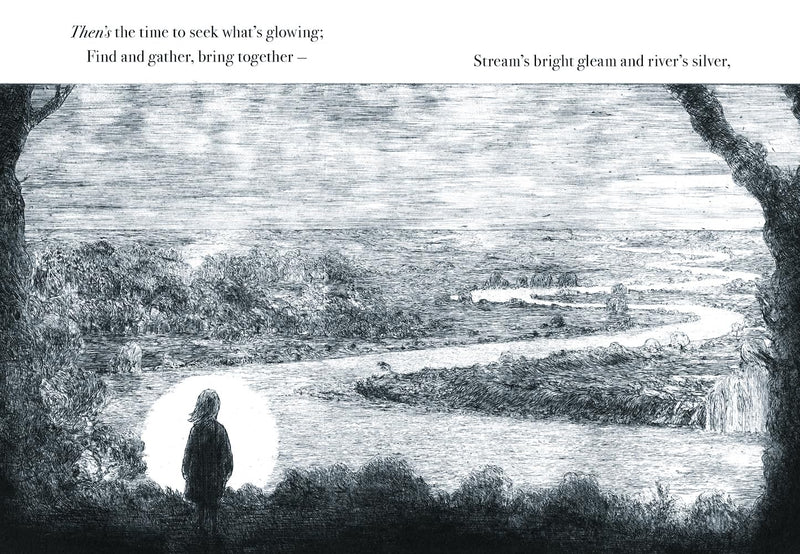Robert Macfarlane: Firefly, illustrated by Luke Adam Hawker