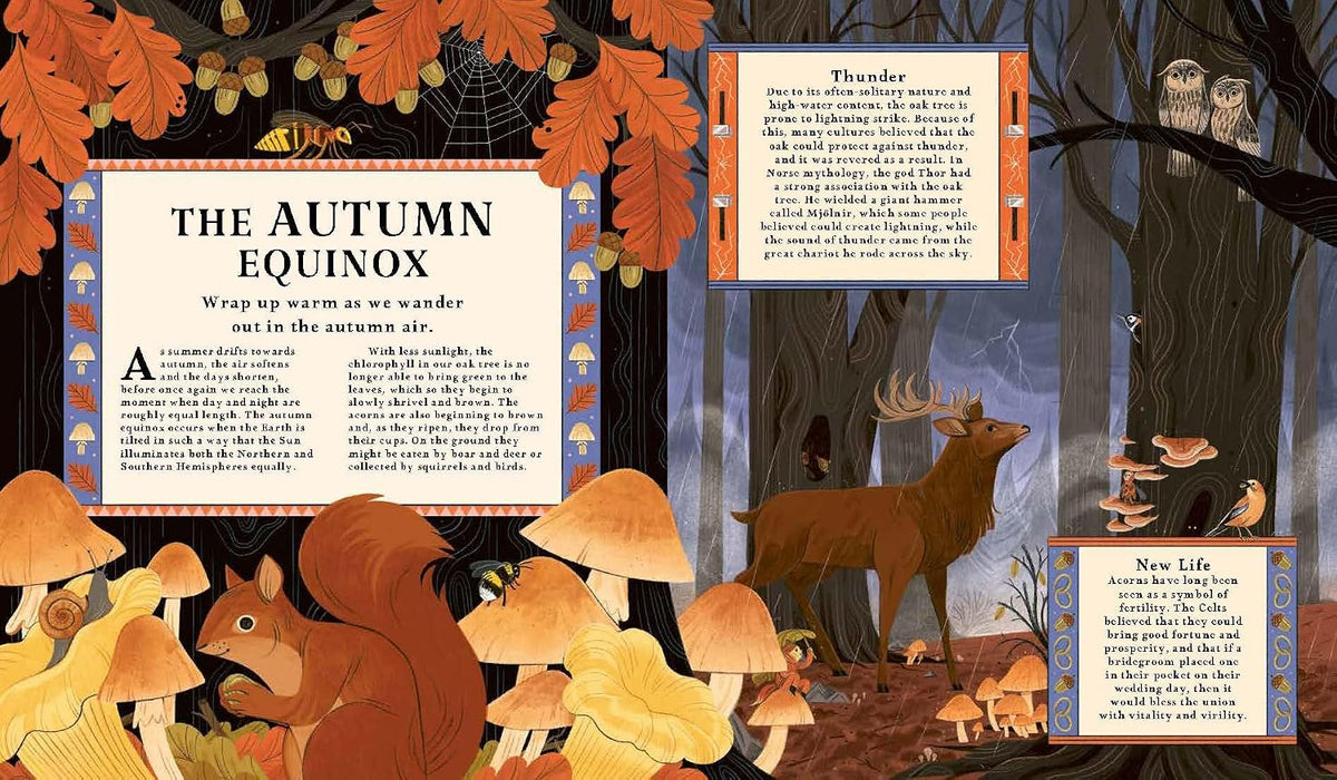 Kevin Parr: Woodlore, illustrated by Anja Susanj