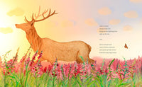 Louise M. Aamodt: A Forest Begins Anew, illustrated by Elly MacKay